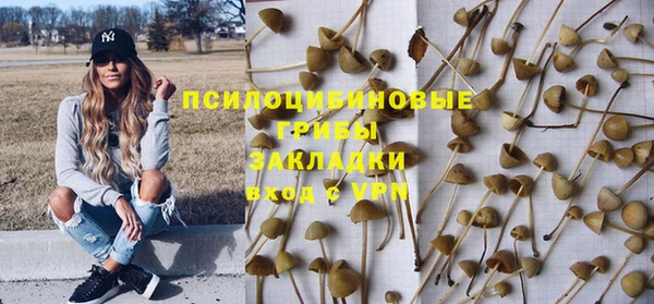 дмт Каменка