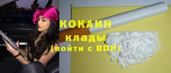 дмт Каменка