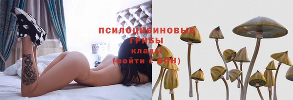 дмт Каменка