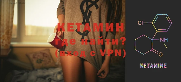 дмт Каменка