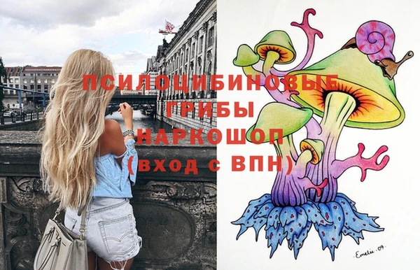 дмт Каменка