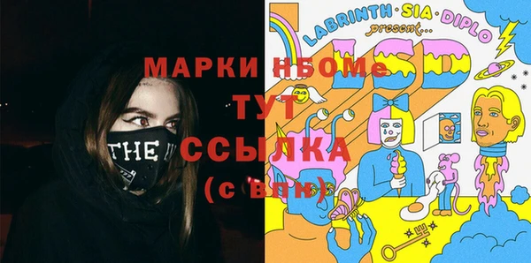 дмт Каменка