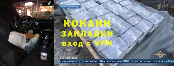 дмт Каменка