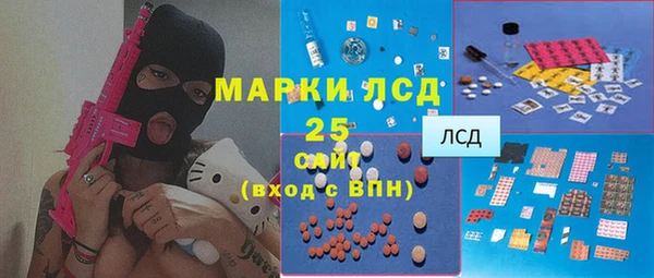 дмт Каменка
