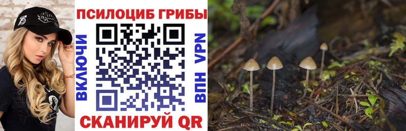 Галлюциногенные грибы Magic Shrooms  Киржач 